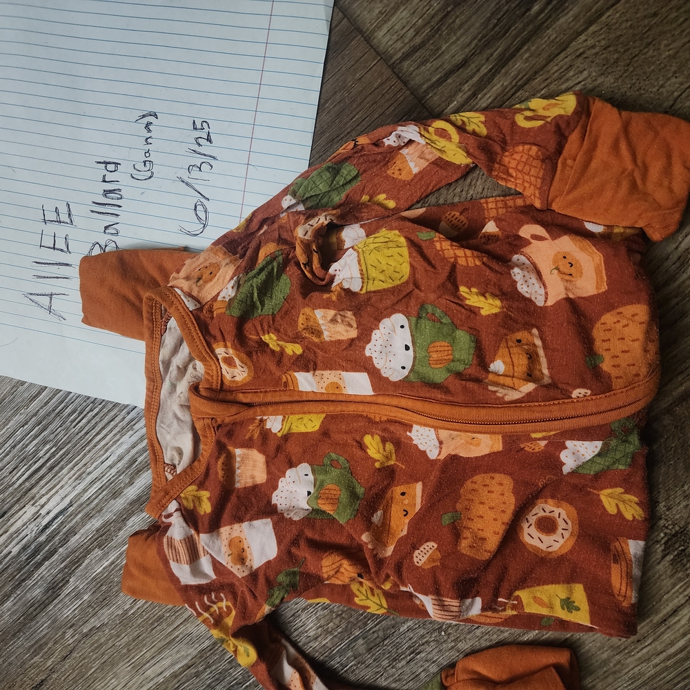 Pumpkin Spice Zippy